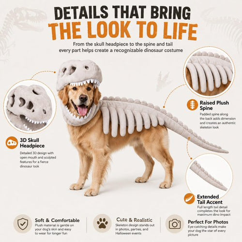 Dinosaur Skeleton Costume for Dogs