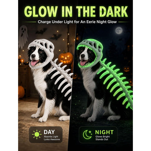 Dinosaur Skeleton Costume for Dogs